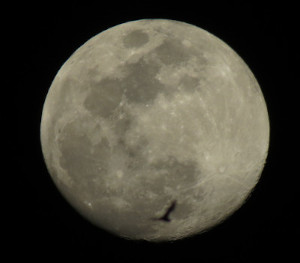 Full Moon with Bat in Foreground